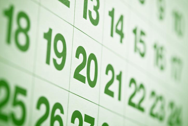 Calendário Bolsa Família 2025: veja as datas do pagamento